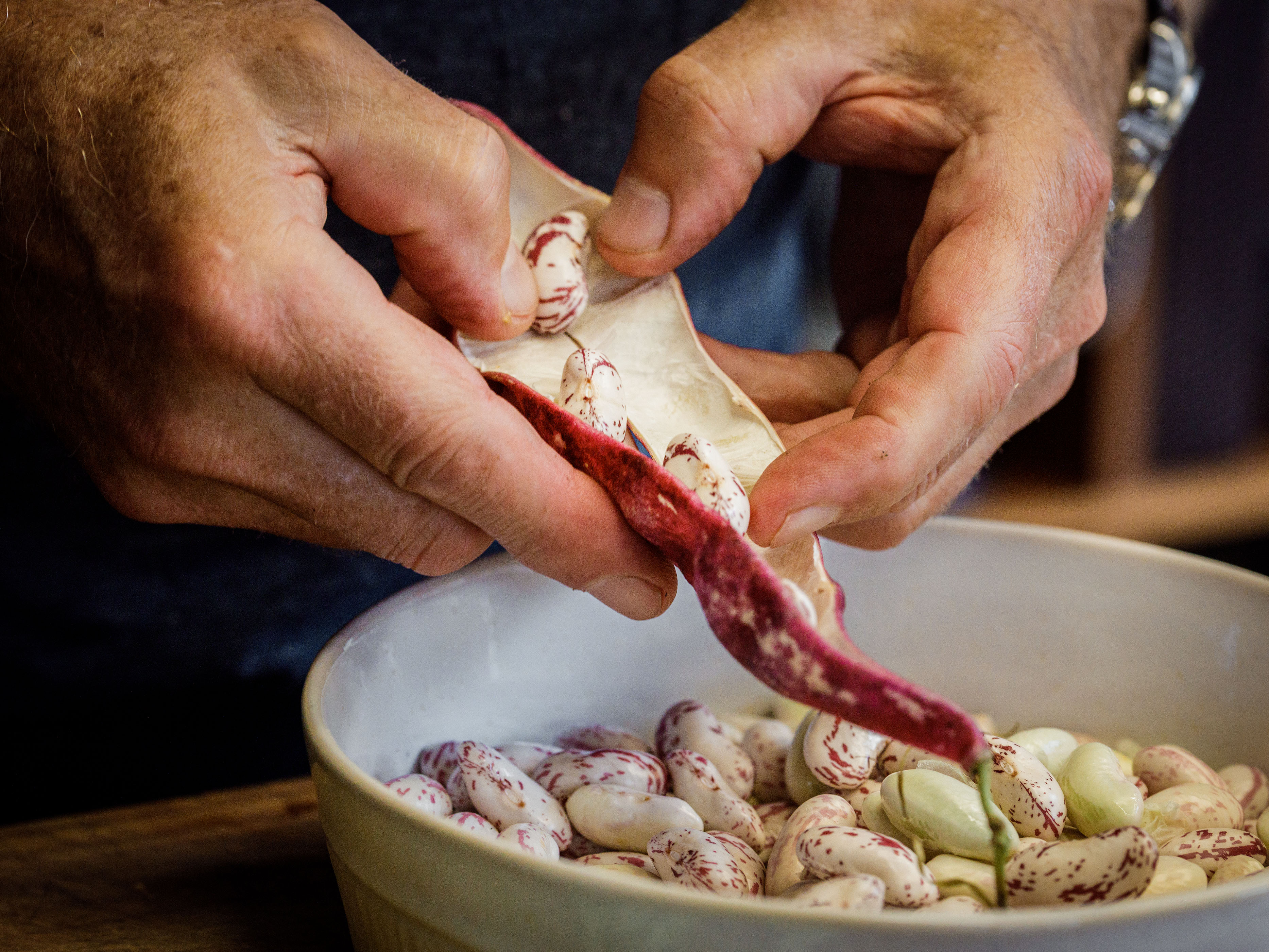 Schritt 1: Frische Bohnenkerne aus ihren Schoten lösen