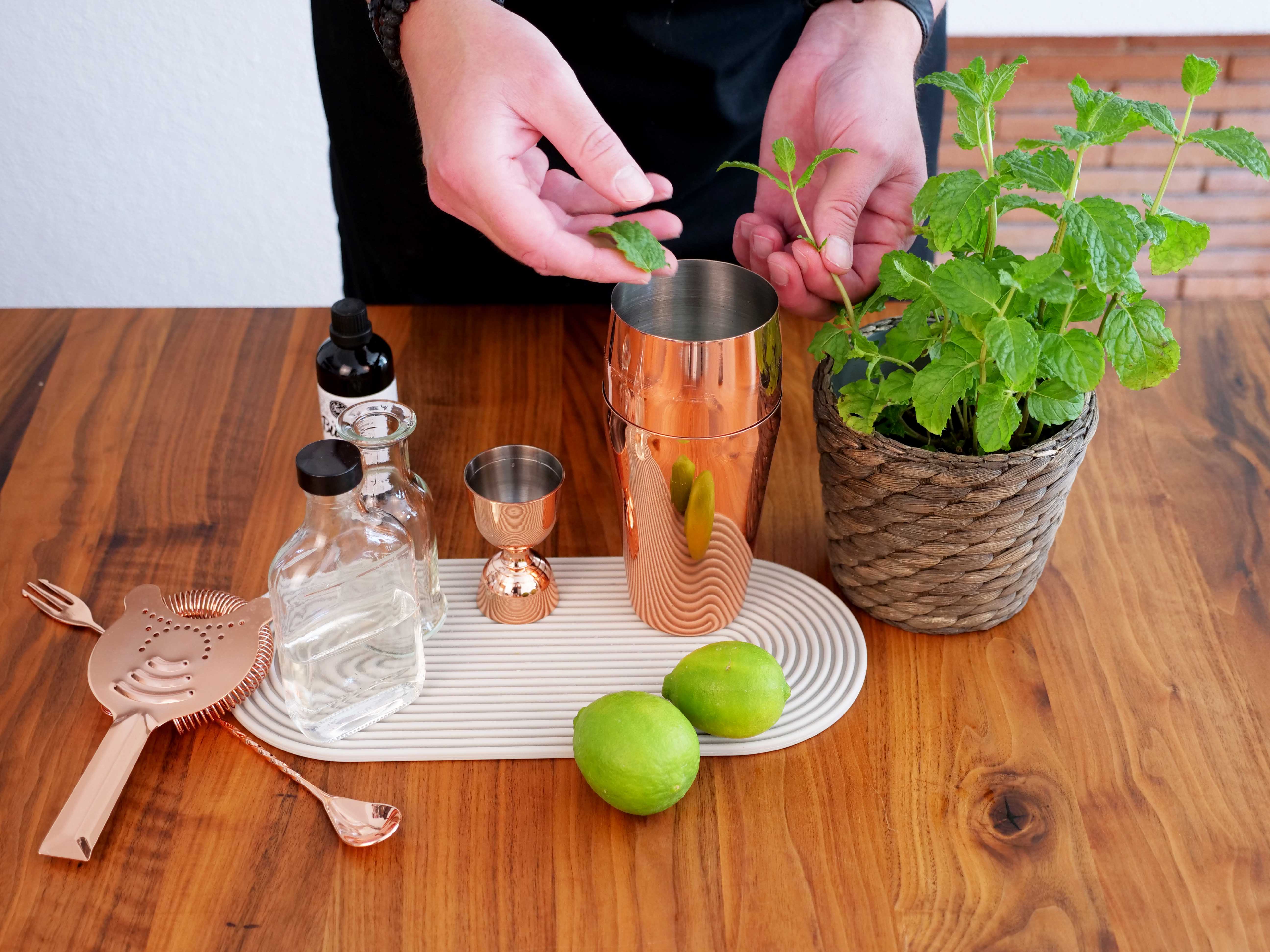 3. Minze & Eis in den Shaker