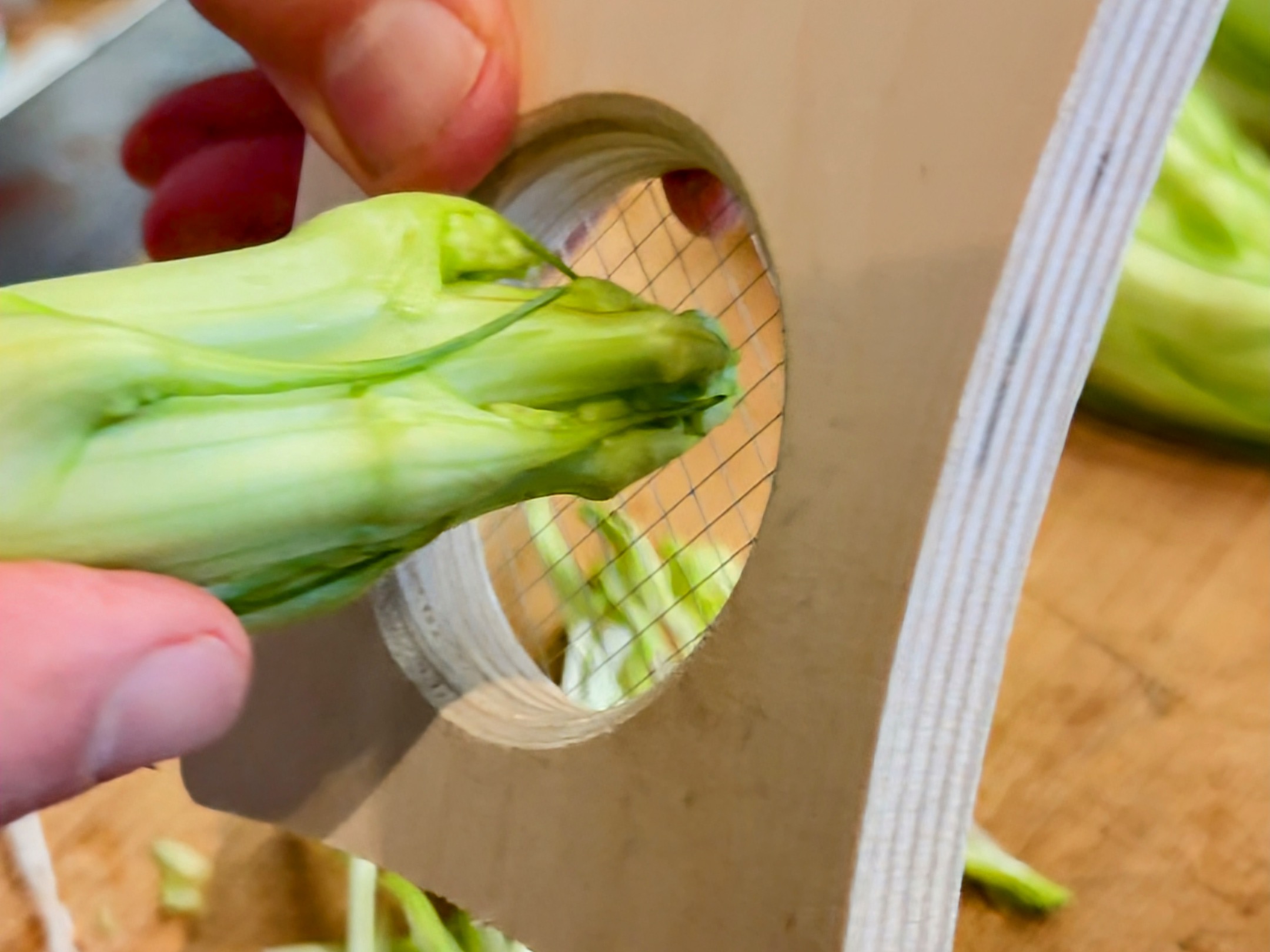 Schritt 1: Punterelle für Punterelle-Salat schneiden