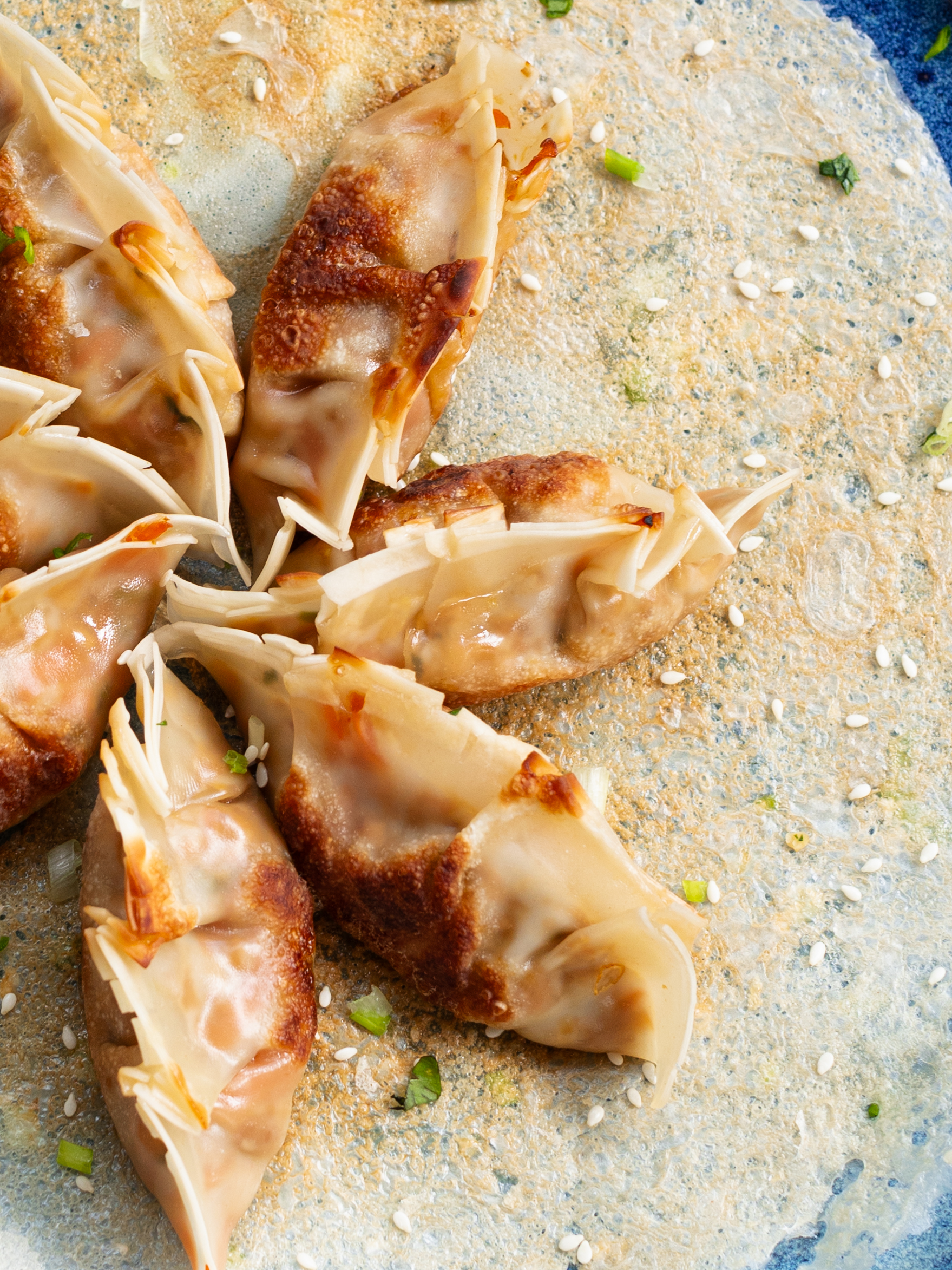 Gyoza mit Knusperboden Rezept 8