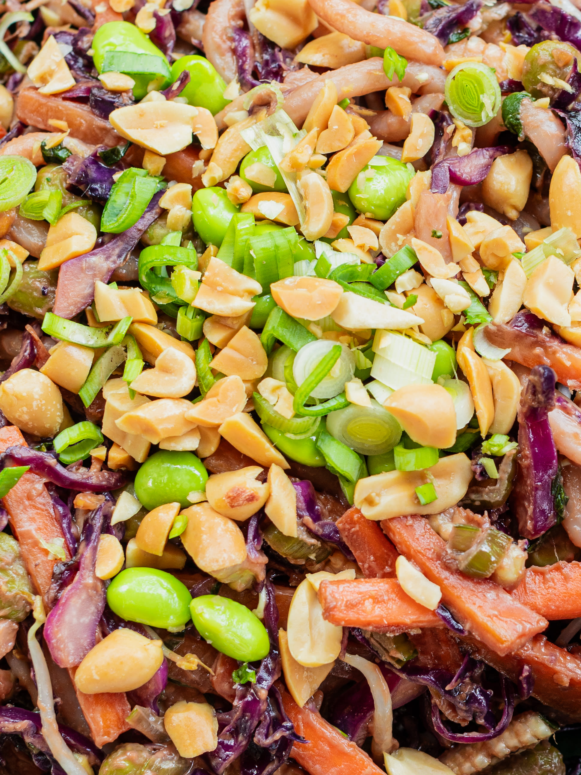 Udon-Nudeln mit Rotkohl Rezept 4