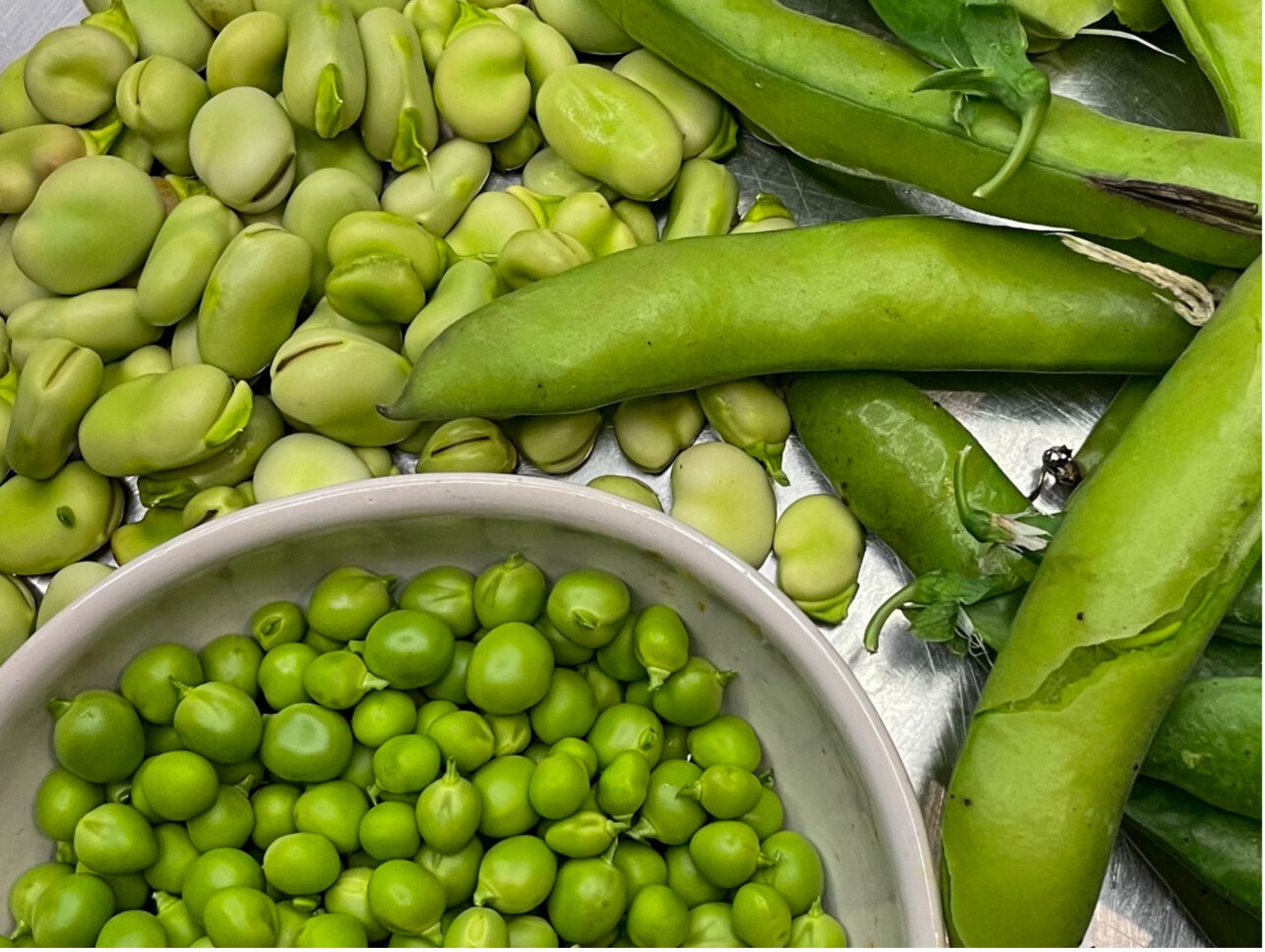Schritt 1: Bohnenkerne und Erbsen blanchieren 
