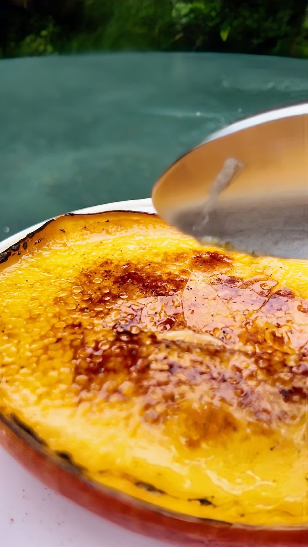 Mango Crème Brulée Rezept2