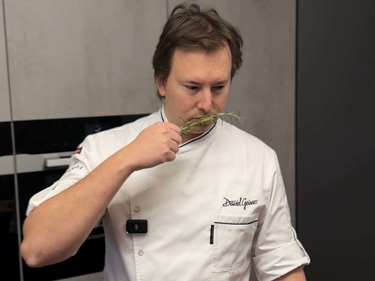 Step 3: Kräuter werden aromatischer Step 3: Kräuter werden aromatischer