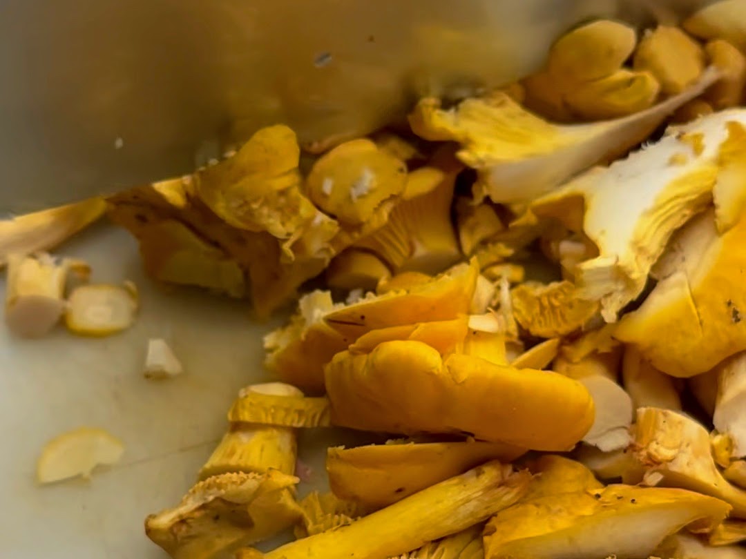 Schritt 2: Eierschwämmchen schneiden