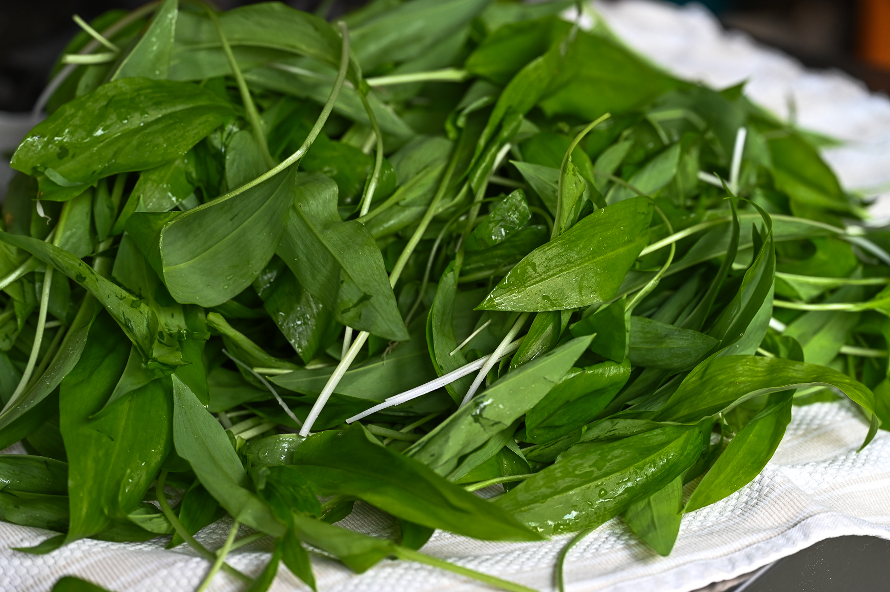 Schritt 1: Den Bärlauch waschen