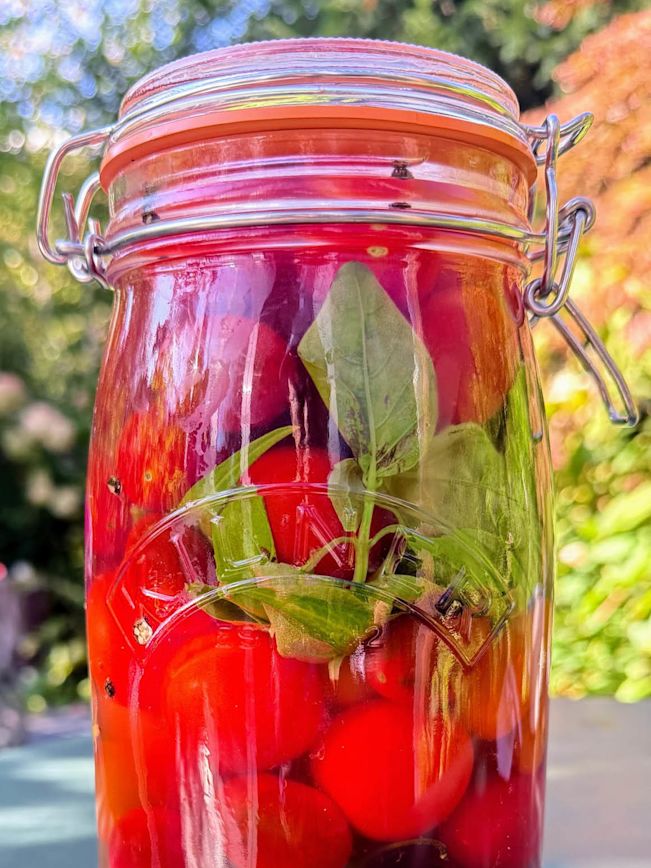 Eingemachte Tomaten Rezept Eingemachte Tomaten Rezept