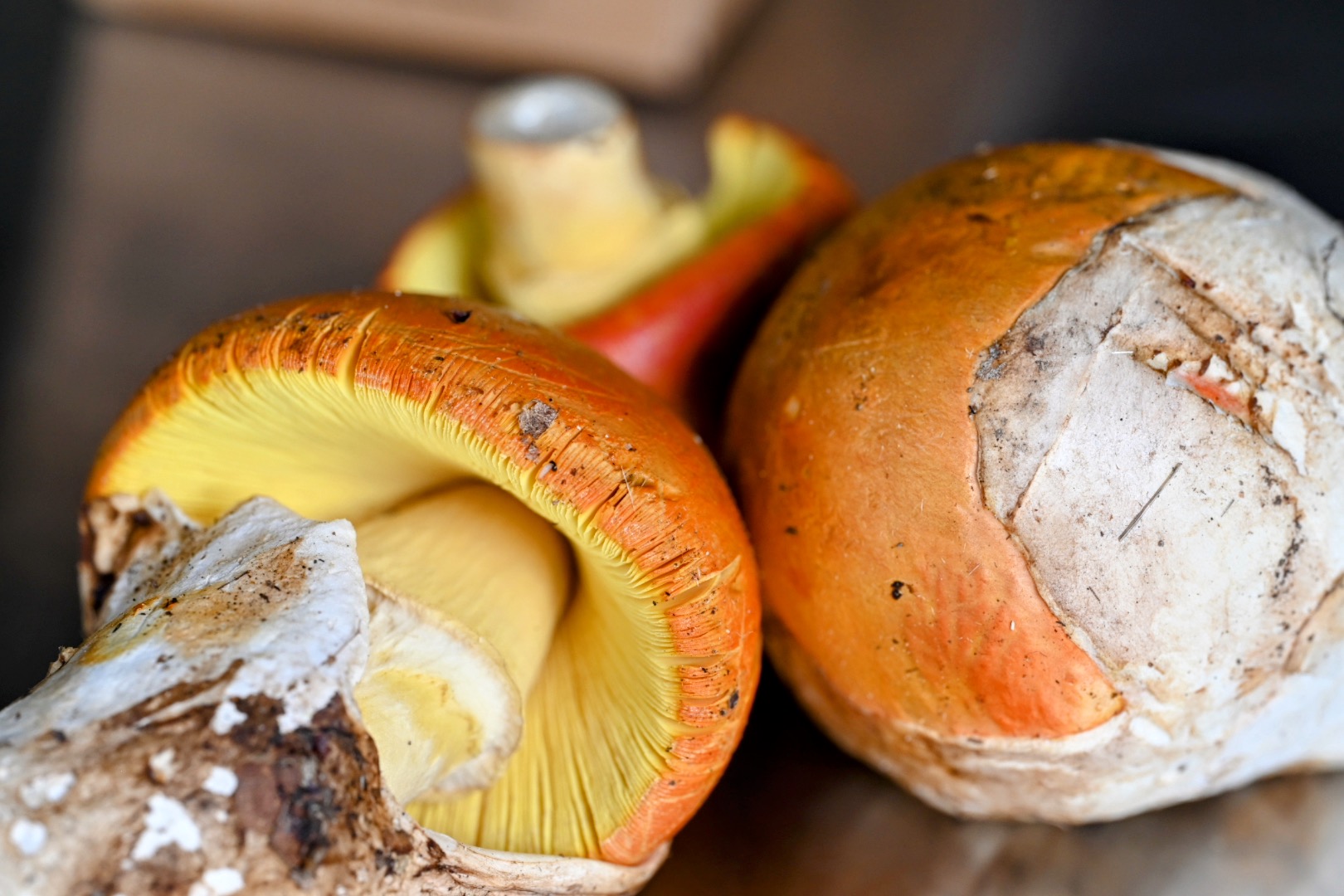 Schritt 1: Tomaten für Kaiserling-Carpaccio mit Burrata rösten 