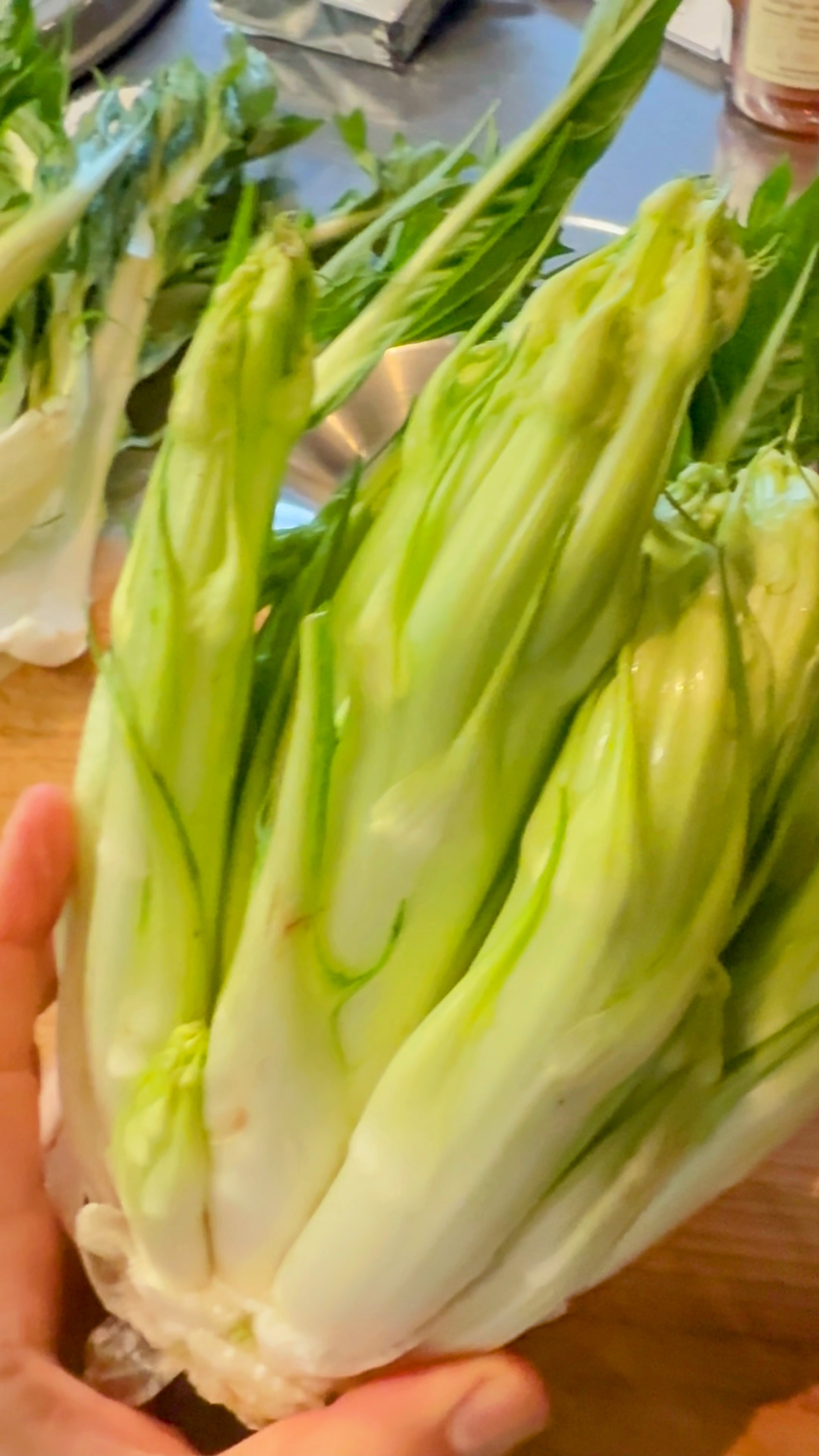 Punterelle-Salat Rezept 4