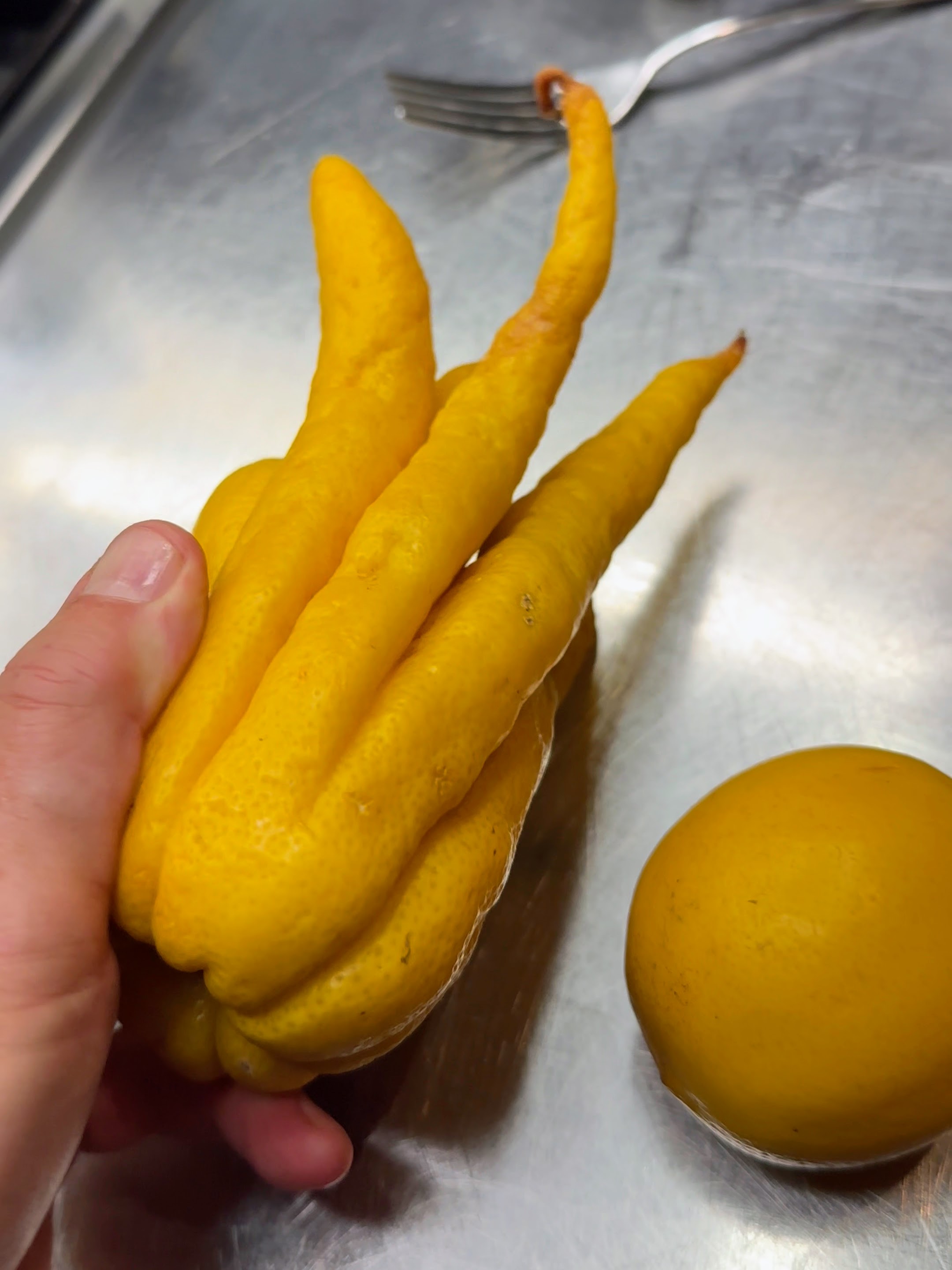 Pasta mit Meyer Zitrone Rezept 2