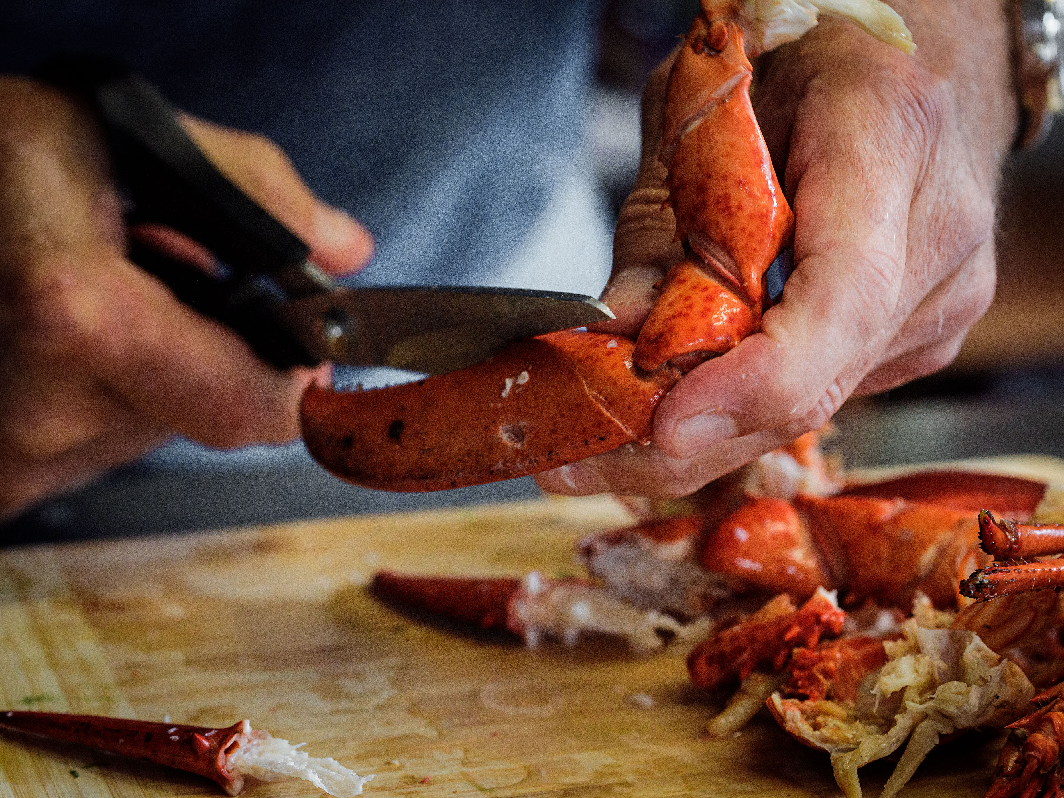 Schritt 1: Hummerschalen in grobe Teile brechen.