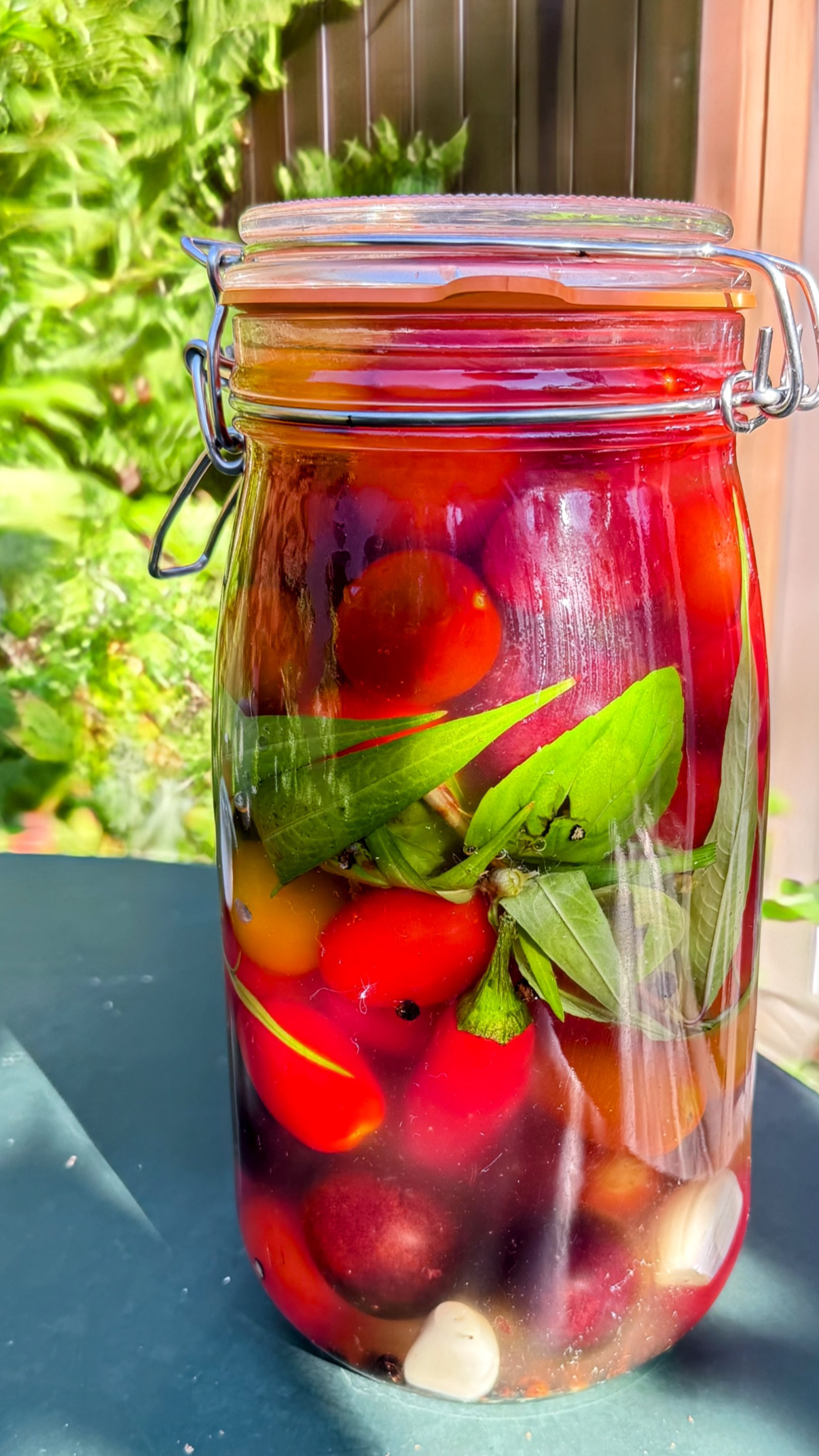 Eingemachte Tomaten Rezept 3