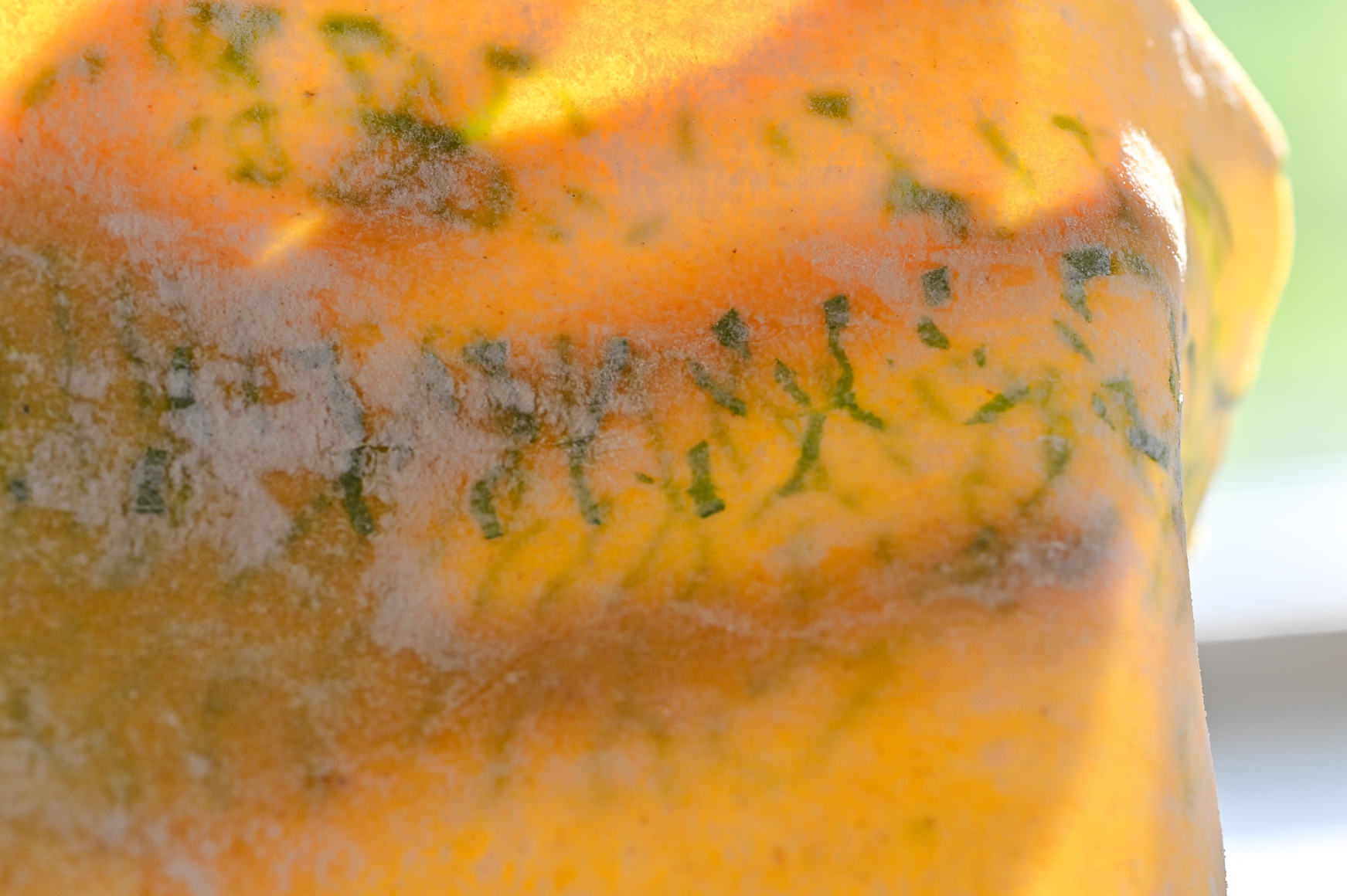 Schritt 3: Die Bärlauchblätter dekorativ zwischen zwei Pastabahnen legen und diese zweimal durch die Pastamaschine drehen