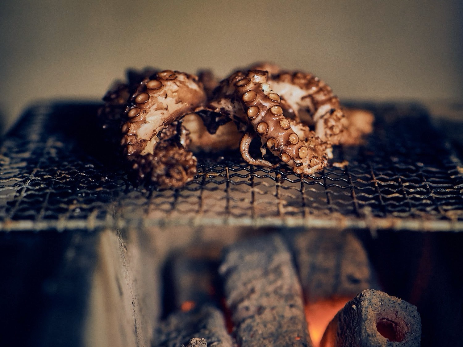 Schritt 3: Oktopus und Radicchio mit dem restlichen Olivenöl beträufeln, salzen und pfeffern