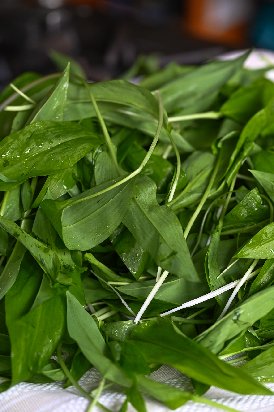 Bärlauchpesto Rezept 2