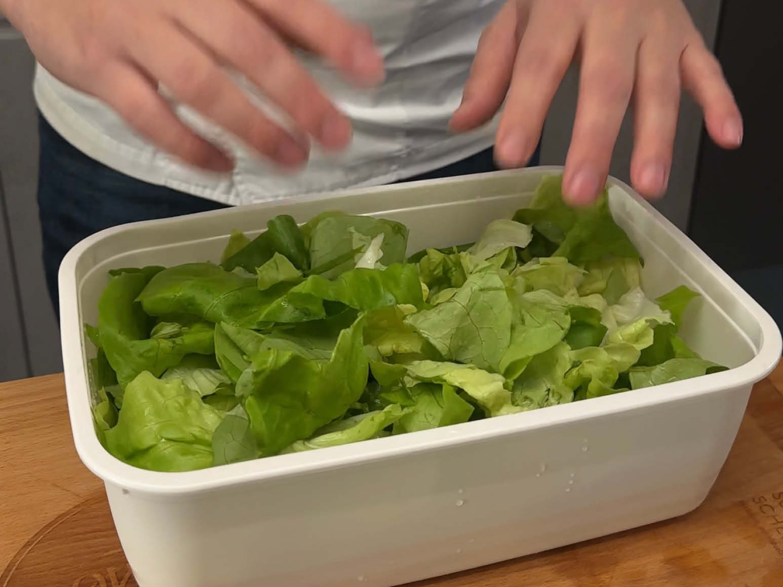 Gewaschenen Salat in Dose füllen
