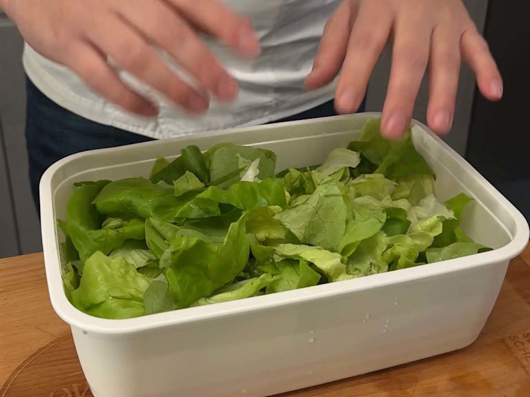 Gewaschenen Salat in Dose füllen Gewaschenen Salat in Dose füllen