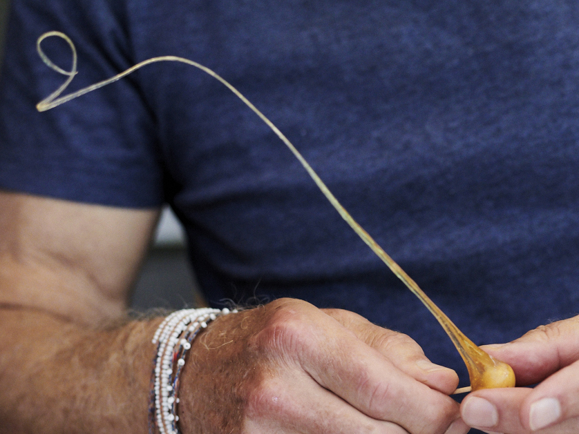 Schritt 8: Nach dem Härten kann der Kuchen mit den karamellisierten Haselnüssen dekoriert werden.