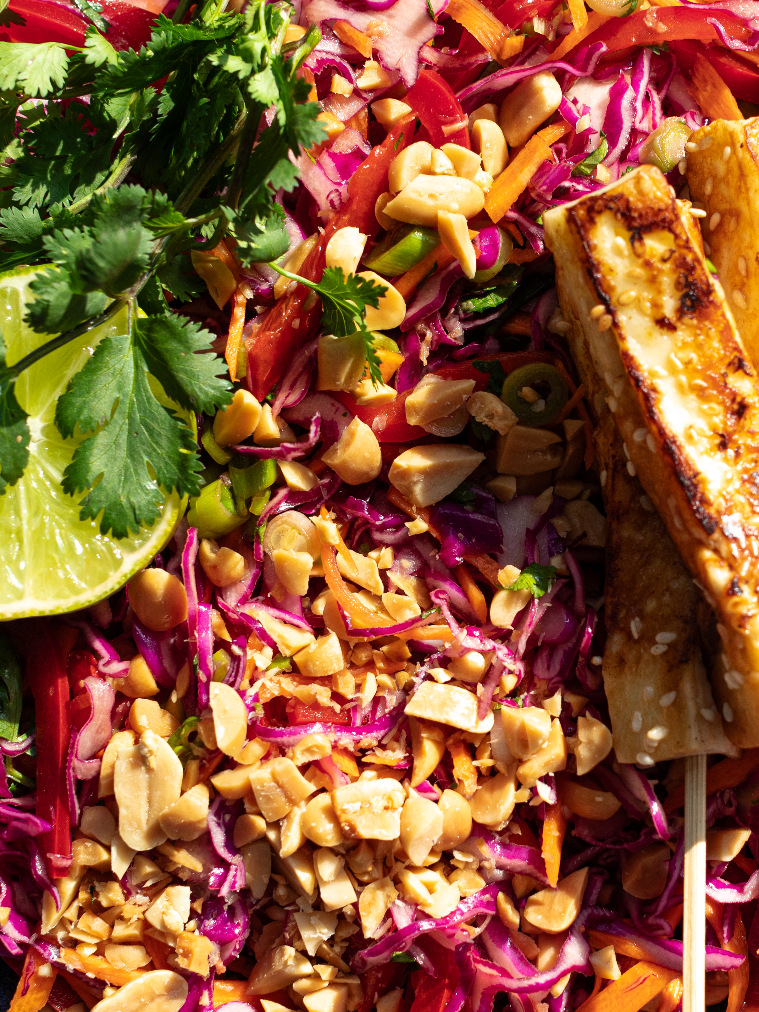 Asiatischer Rotkohl-Salat Rezept 5