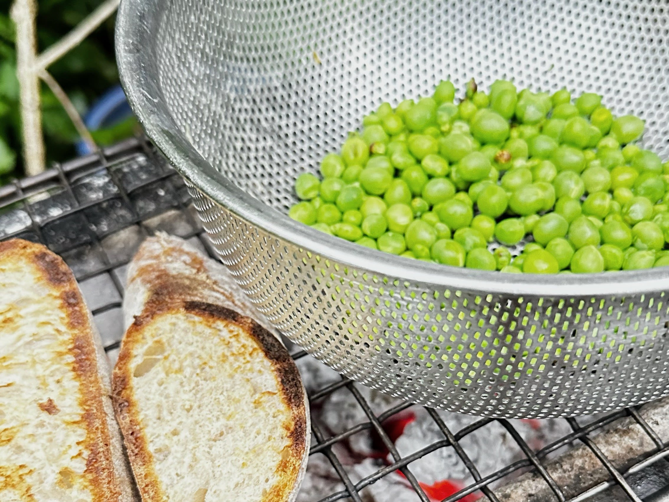 Schritt 2: Die ausgelösten Erbsen in einem flachen Sieb auf den Grillrost legen, einige Minuten grillieren, ab und zu schütteln. Die Brotscheiben rösten.