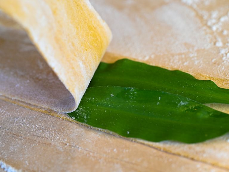 Schritt 3: Die Bärlauchblätter dekorativ zwischen zwei Pastabahnen legen  Schritt 3: Die Bärlauchblätter dekorativ zwischen zwei Pastabahnen legen
