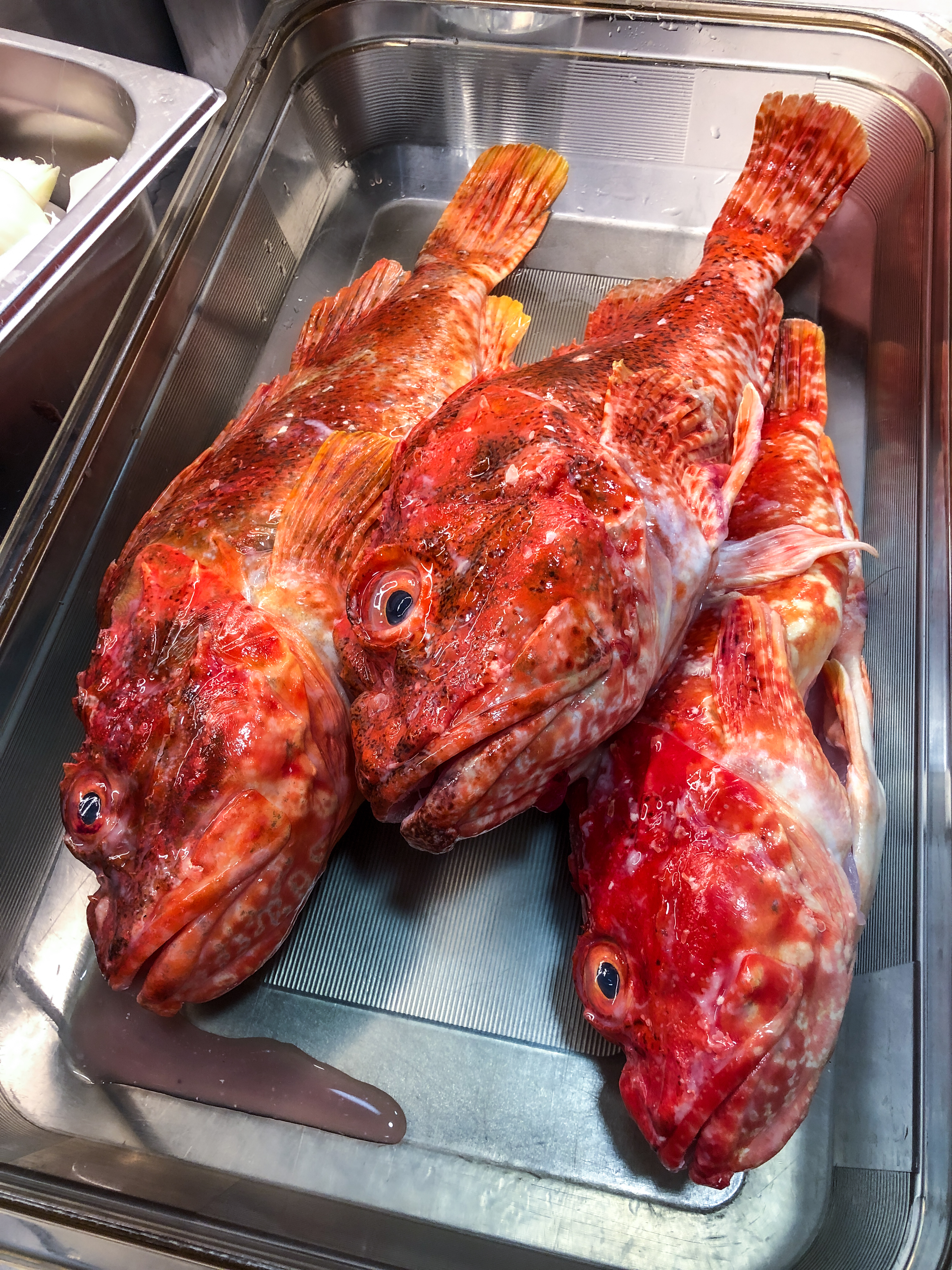 Paccheri all' aqua pazza Rezept 3