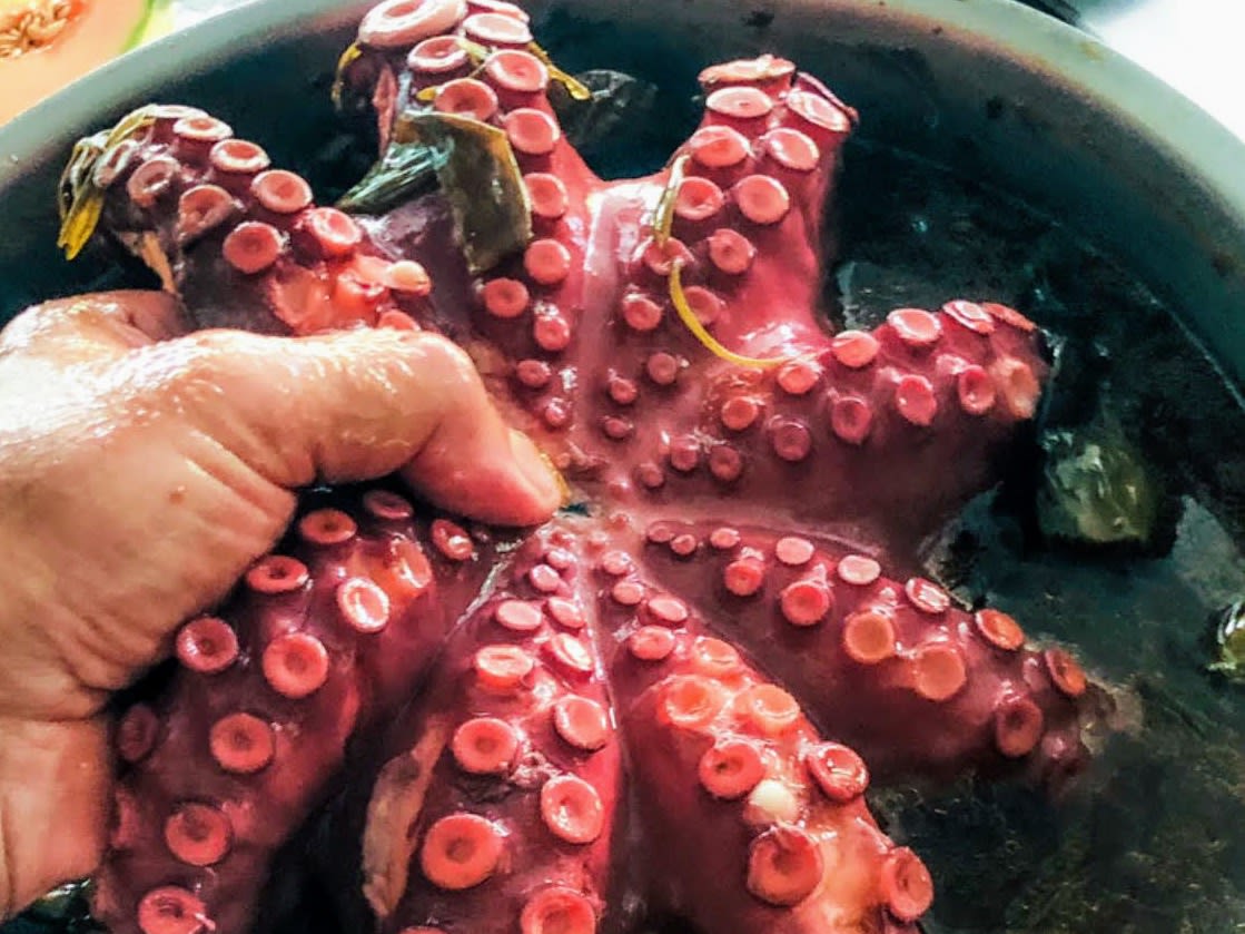 Schritt 1: Den gegarten Oktopus aus der Pfanne nehmen und im Eiswasser abschrecken