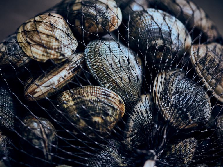 Schritt 1: Muscheln für Spaghetti con le vongole e bottarga vorbereiten 