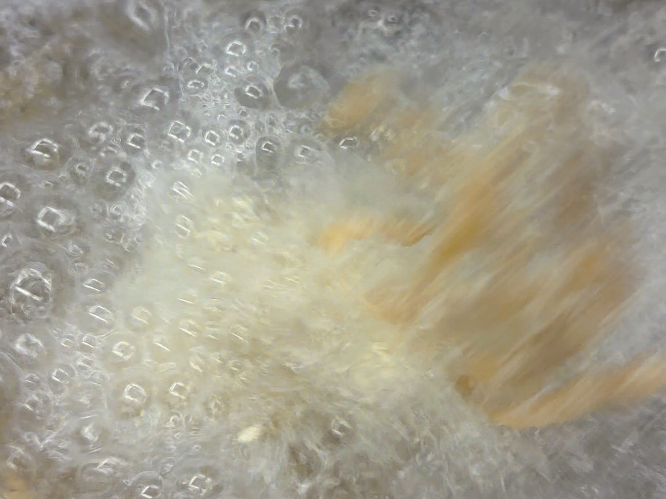 Schritt 2: Busiate mit Artischocken und Zucchini servieren