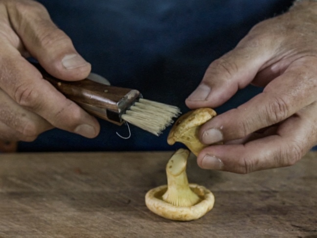Schritt 1: Pilze für Pilzsuppe mit Safran garen 