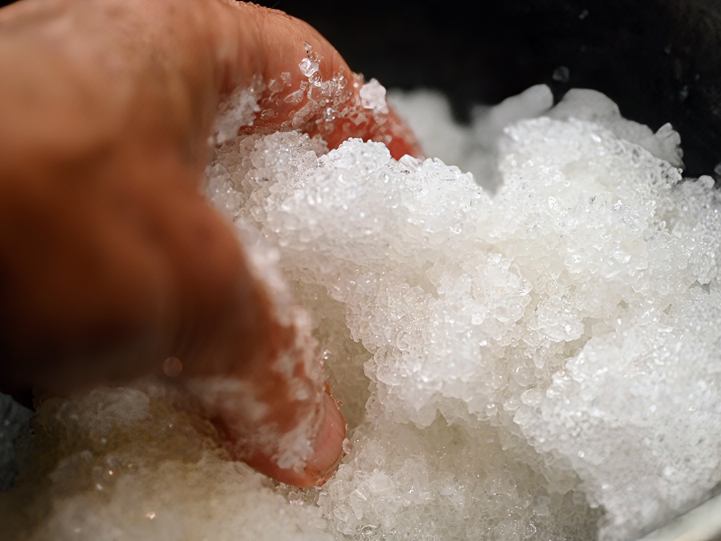 Schritt 1: Lauch für Lauchherzen mit schwarzem Trüffel  im Ofen mit Meersalz-Gitter zubereiten