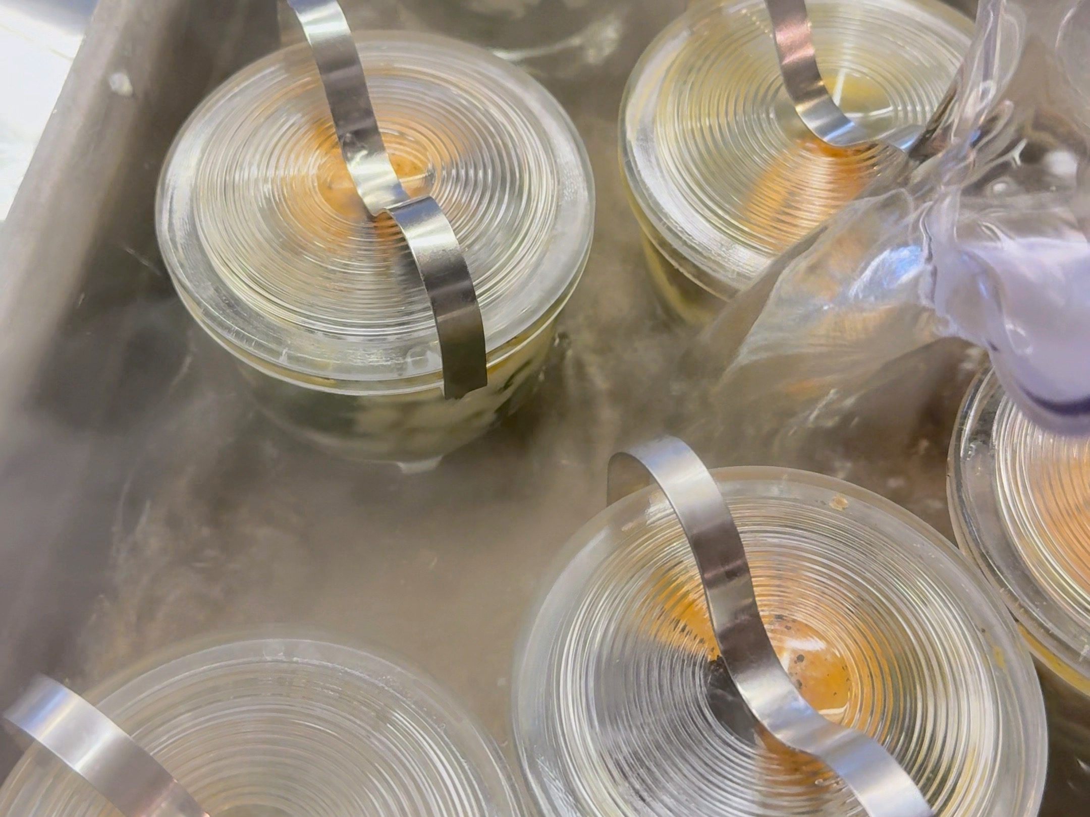 Schritt 3: Trüffel-Spinat-Ei im Steamer oder Wasserbad garen