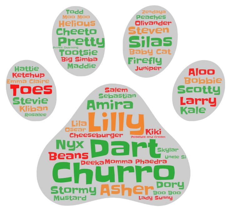 Smitten Kitten Cat Cafe