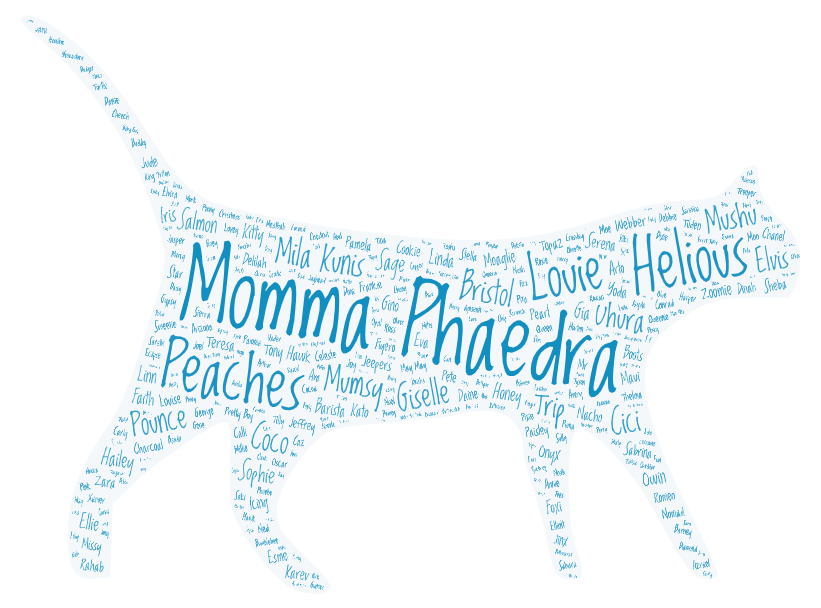 Smitten Kitten Cat Cafe