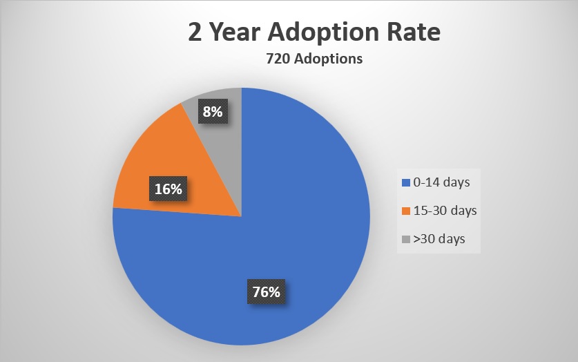 Smitten Kitten Cat Cafe