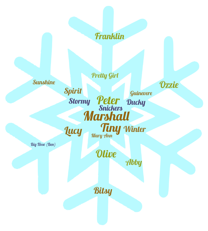 Smitten Kitten Cat Cafe