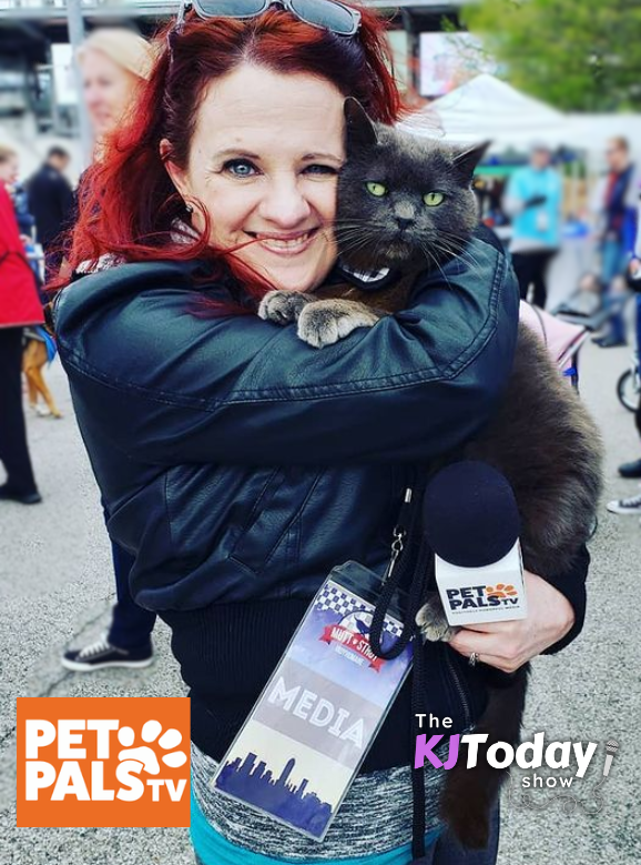 Smitten Kitten Cat Cafe