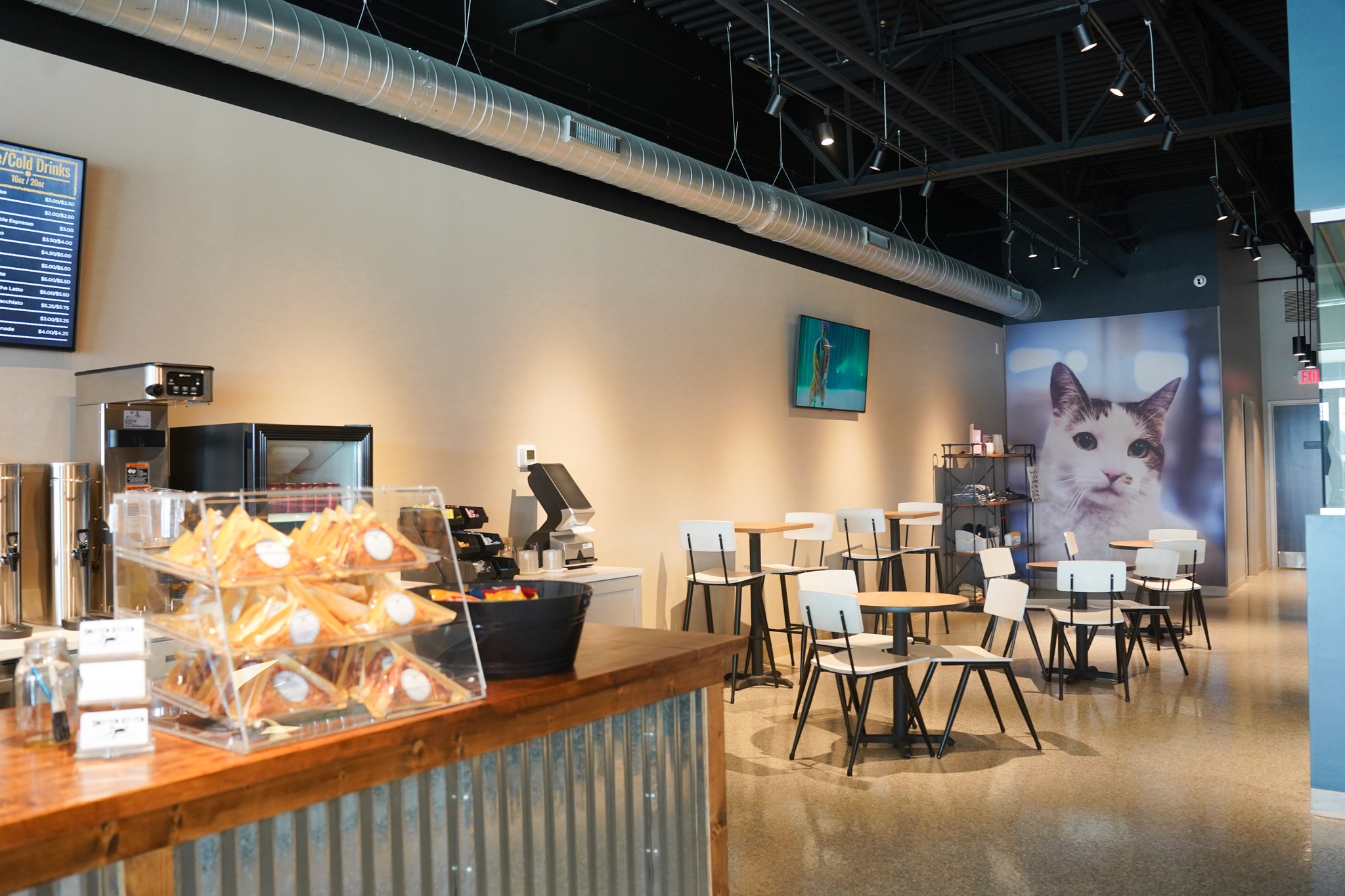 Smitten Kitten Cat Cafe