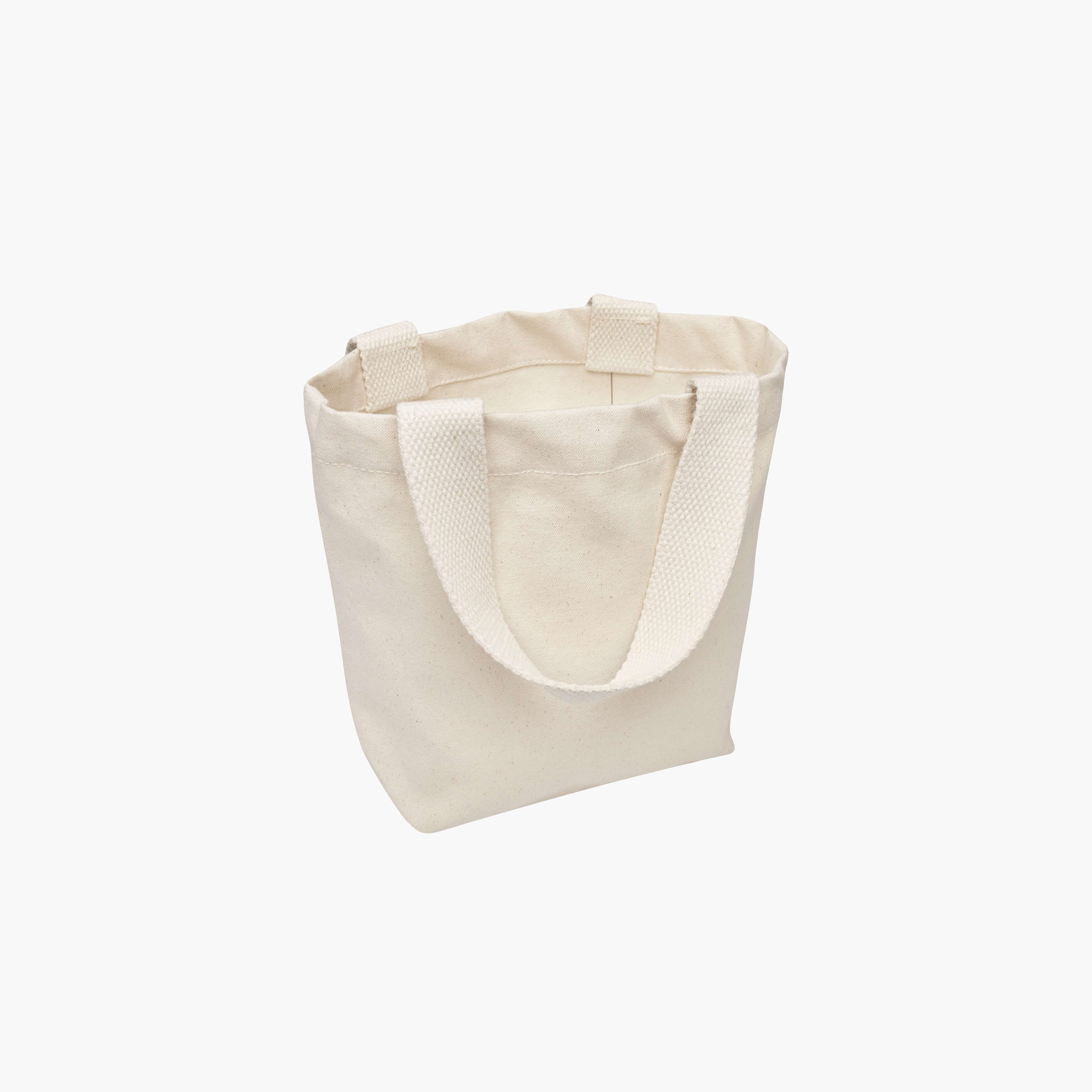 mini tote bag 