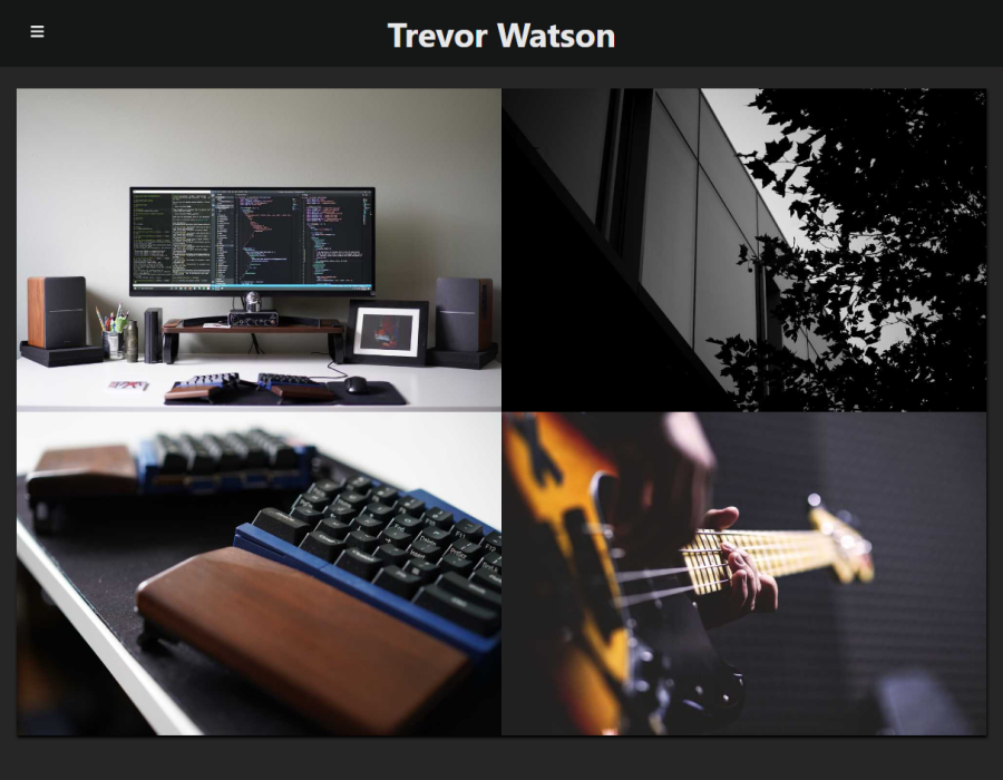 Trevor Watson Portfolio