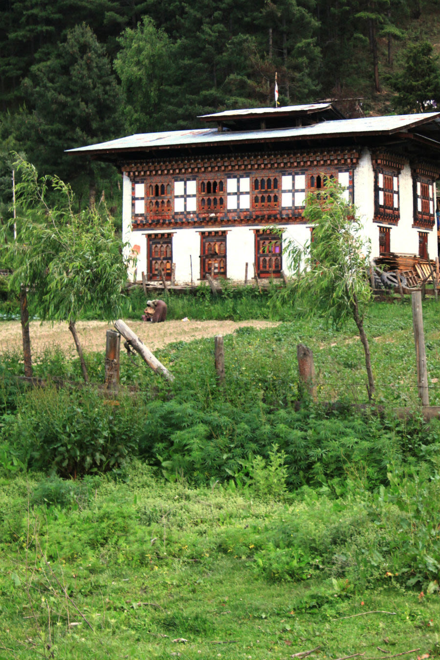 Bhutan-2017G-083