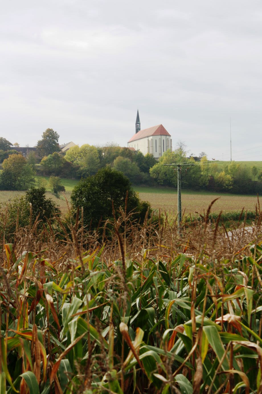 PROSSLBRÄU, au Dominikanerinnenstrasse 2-3