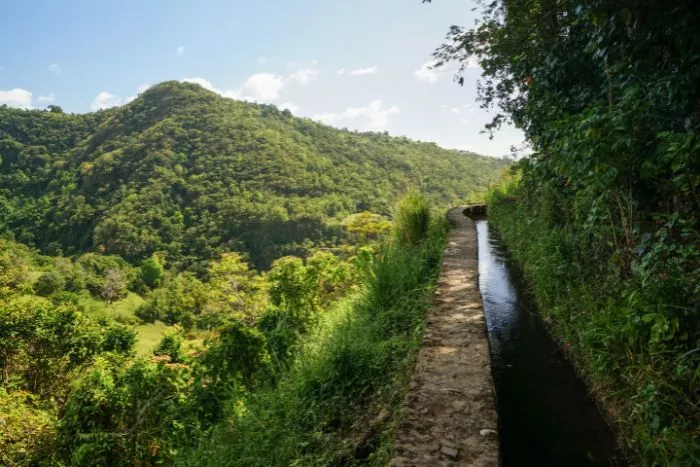 Le Canal des Esclaves en Martinique