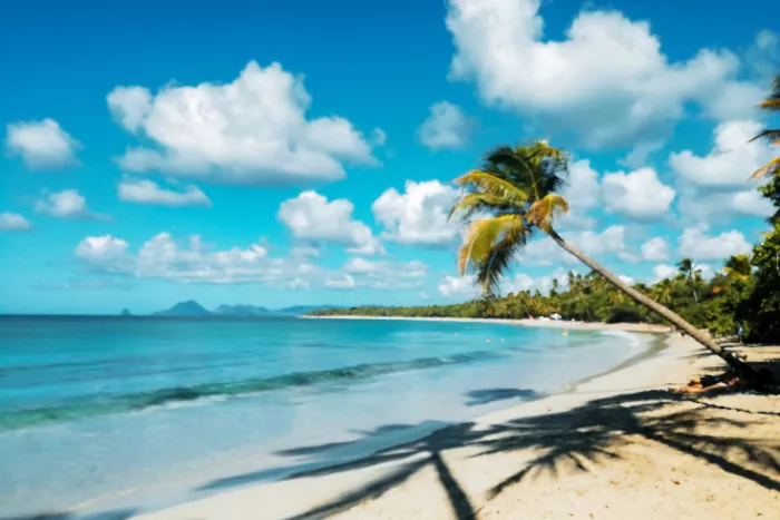 plages martinique