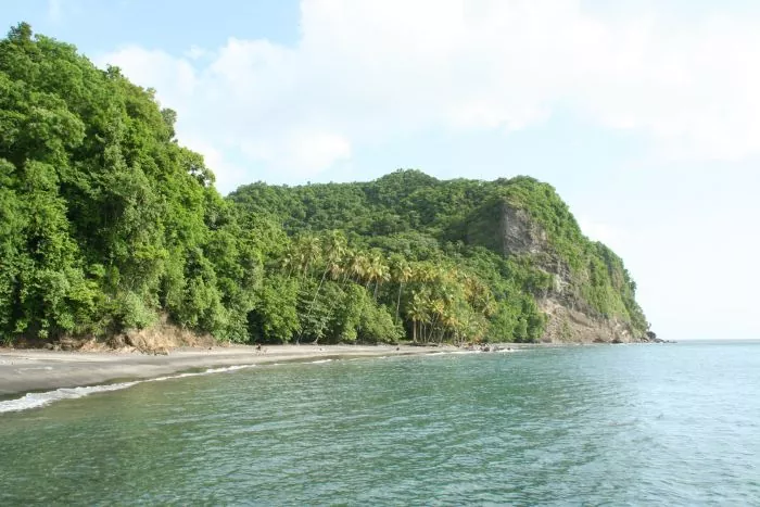 Anse Couleuvre : plage de sable noir 