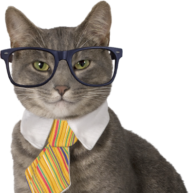 Justin Case, Esq