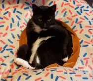 Hairy-Pawter