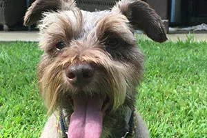 angus-von-wigglebottom