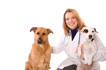 female-vet-with-two-dogs4