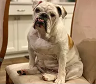 Madame-Von-Squishyface-1